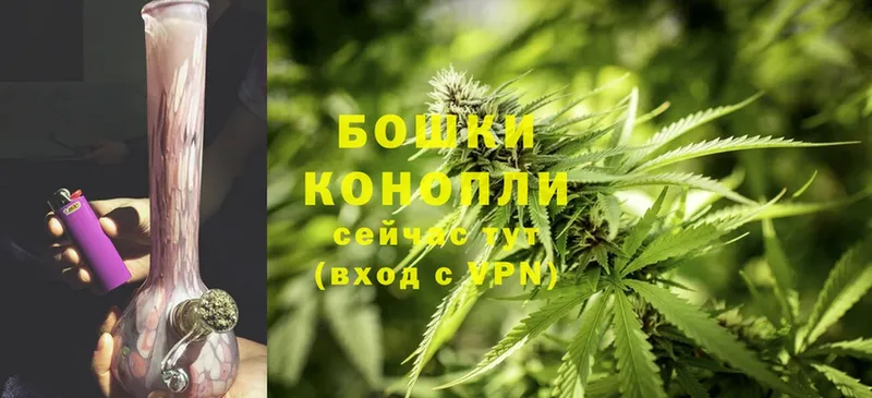 Каннабис OG Kush  mega зеркало  Кимовск 